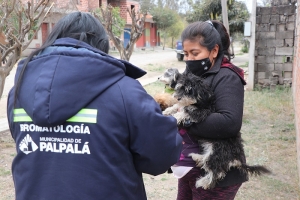 Cronograma semanal de vacunaci&oacute;n antirr&aacute;bica en Palpal&aacute;