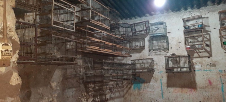 24 aves son rescatadas en San Salvador de Jujuy