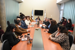 Asuntos Sociales emiti&oacute; despacho favorable a dos proyectos