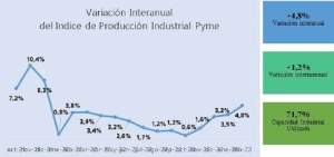 La industria pyme creci&oacute; 4,8% anual en febrero