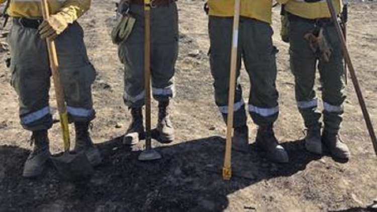 R&aacute;pido despliegue para controlar un incendio forestal en Volc&aacute;n