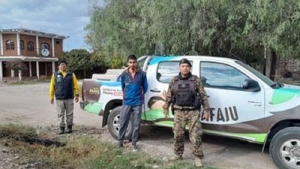 Exitoso rescate de pecar&iacute;es de collar