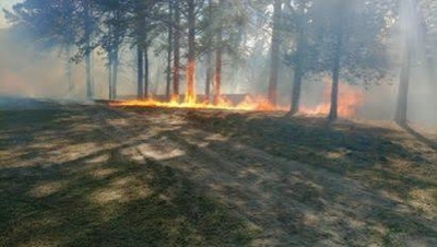 D&iacute;a Mundial de la Prevenci&oacute;n de Incendios Forestales: prevenir es responsabilidad de todos