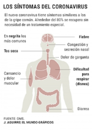 Segundo positivo de coronavirus en Argentina: un joven de 23 a&ntilde;os que regres&oacute; de Italia