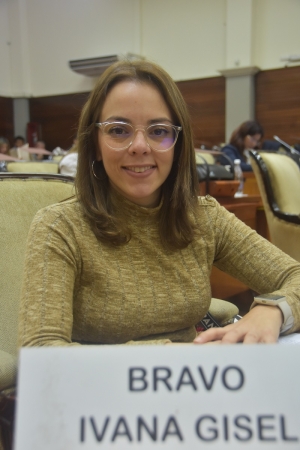 Diputada Gisel Bravo ponder&oacute; el proyecto de ley de impulso al desarrollo urbano p&uacute;blico privado