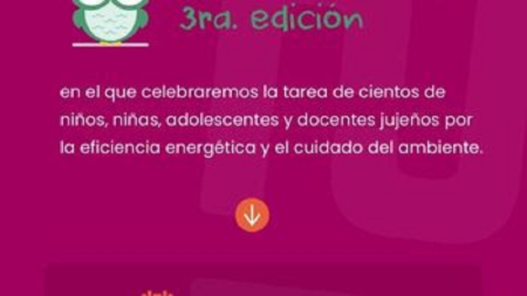 Concurso "El saber ilumina": 10 escuelas ser&aacute;n premiadas este viernes en el Cabildo de Jujuy
