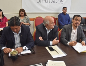 La Comisi&oacute;n de Salud inici&oacute; el an&aacute;lisis de un proyecto de ley para la capacitaci&oacute;n obligatoria en discapacidad