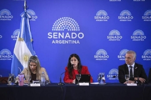 El Senado avanza con la reforma de la Ley de Salud Mental: habilitan internaciones involuntarias y suman adicciones