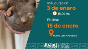 Nueva muestra en el Museo Soto Avenda&ntilde;o: "Guardianes de la Quebrada"