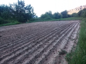 El Gobierno provincial asiste a productores afectados por el temporal