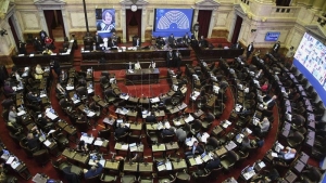 El Frente de Todos analiza tratar en forma conjunta el Aporte Solidario y el Presupuesto
