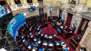 El Senado aprob&oacute; el proyecto Emergencia Covid, para contener la pandemia