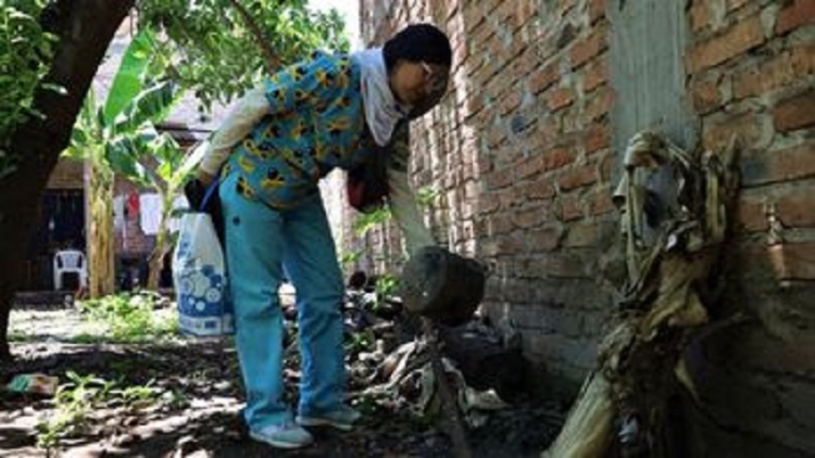 Se notific&oacute; un fallecimiento con diagn&oacute;stico de dengue probable