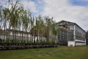 La Chacra Experimental Santa Rosa cumple 70 a&ntilde;os