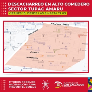 &Uacute;ltimo  descacharreo del a&ntilde;o