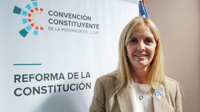 Agostini: "Es un reordenamiento de la normativa que est&aacute; vigente desde 2017"