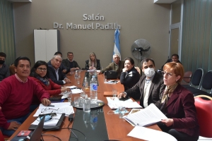 Plenario de comisiones de salud p&uacute;blica y legislaci&oacute;n general